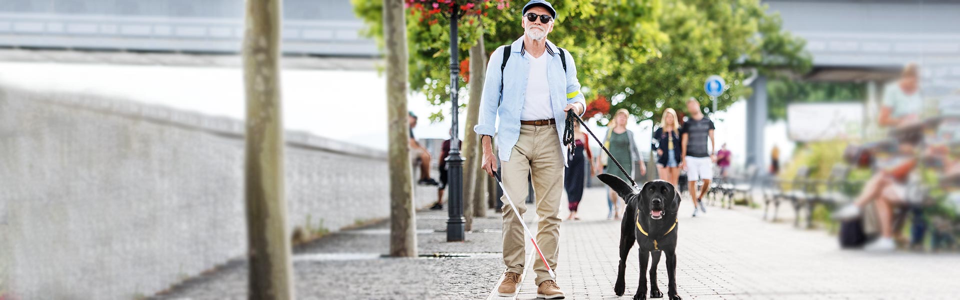 Lörrach & die Regio - touristische Vielfalt - Blinder mit Blindenhund