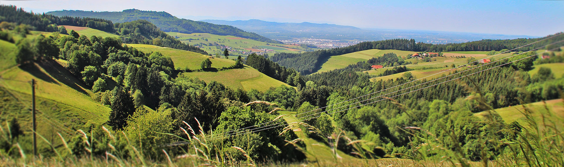 Lörrach & die Regio - lebenswertes Lörrach - Freizeit 