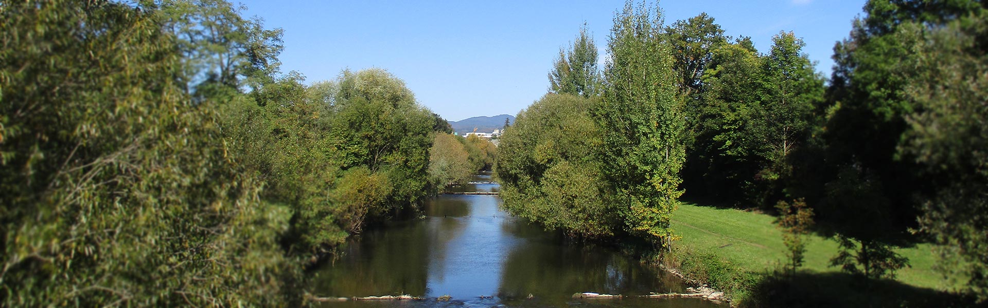 Lörrach & die Regio - touristische Vielfalt - Wiese