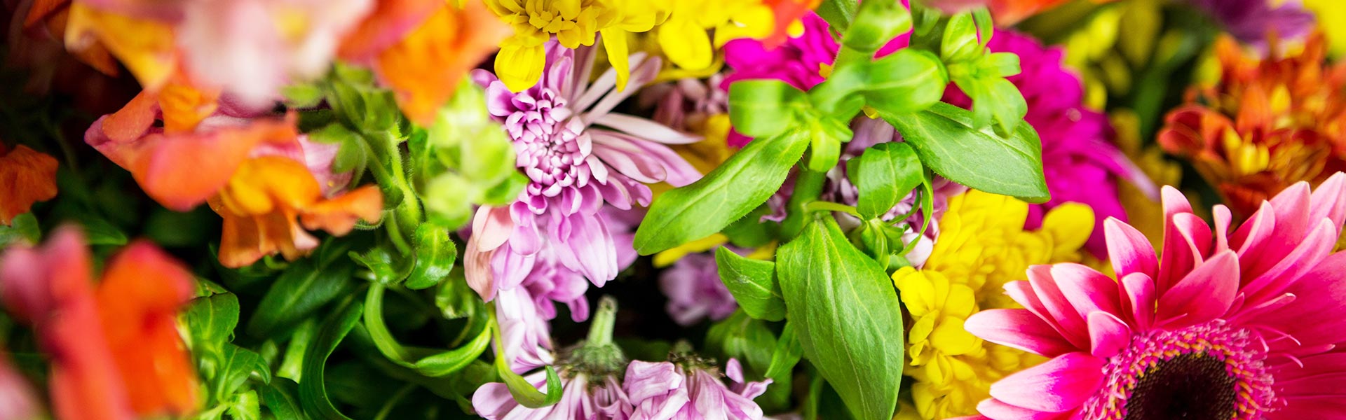 Lörrach & die Regio - lebenswertes Lörrach - Alraune Blumenladen